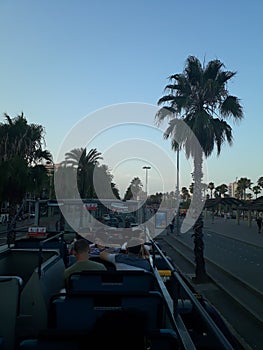 Openair touristbus ontheroad palmtrees sunset citylights boulevard barcelona