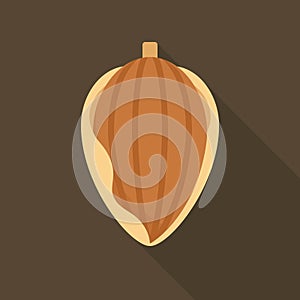 Opened Almond Kernel Flat Vector Illustration