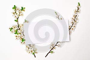 Opened blank invitation greeting card with blossoming branch with green leaves as spring template concept