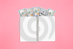 Opened blank notepad and dollar bills on pink background, flat lay.