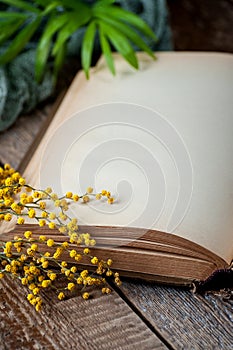 Opened book with blank pages on an old wooden table with mimosa flowers
