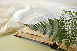 Opened Book with Fern Leaf and Baby Breath Flowers