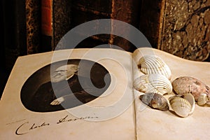 Opened book `The origin of species` by Charles Darwin. photo