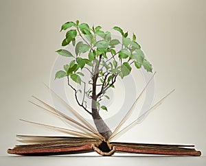 Opened book pages with green foliage on tree