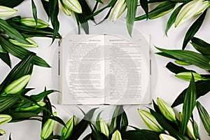 Opened book surrounded with green leaves on white background. Flat lay, top view