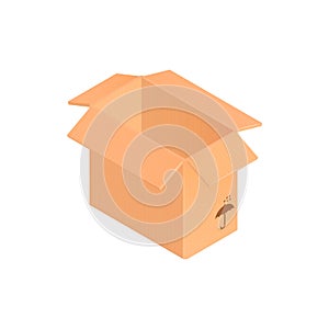 Opened Box Cardboard Composition