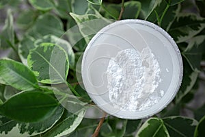 Opened box of mineral powder on green leaves background