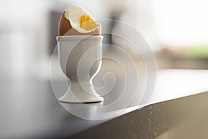 Opened breakfast egg in egg cooker