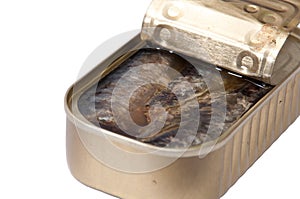 Opened can of sardines on white background