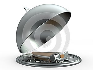 Opened cloche concept, 3D