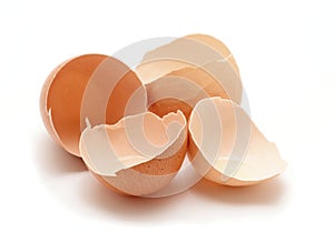 Cracked egg shells