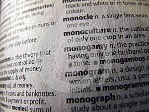 Opened Dictionary - monogamy word