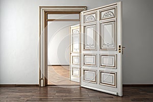 Opened door, vector illustration photo