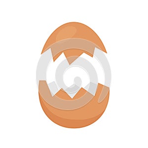 Opened egg with broken shell isolated on white, chicken eggs brown broken and open, clip art cracked oval egg, eggshell fragile