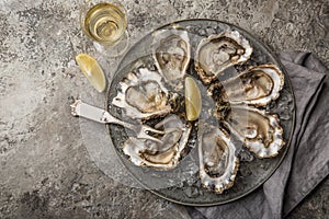Opened fresh raw oysters on gray plate served with lemon and white wine