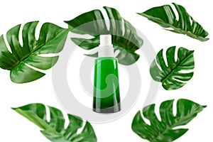 Opened green Bottle with tropical monstera leaf on isolated white background close up. Brand packaging mockup. Aromatic oil,