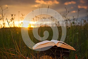 Opened hardback book diary, fanned pages on blurred nature lands photo