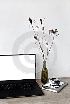 Opened laptop with blank white scree standing on beige wooden desk, stationary, vase with flowers, minimalist home