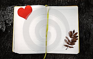 Opened Notepad closeup