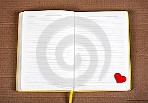 Opened Notepad closeup