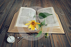 Opened old book and flower