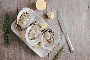 Opened oysters, lemon on gray stone table. Half dozen. With copy