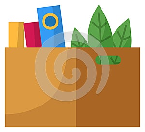 Opened paper container for storage with books and plant. Carton square brown box for transportation