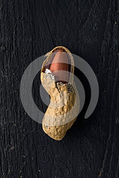 Opened Peanut Nutshell