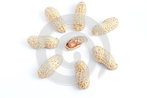 Opened peanut shell with kernel