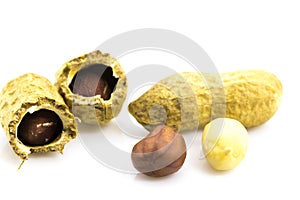 Opened Peanuts on the white background