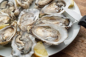 Opened raw oysters with sauce and lemon slices on plate on wooden table. Top view photo