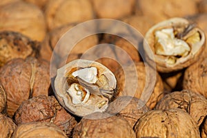 Opened ripe walnut