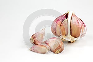 A opened semi-peeled garlic bulb and cloves isolated on white background with copy space