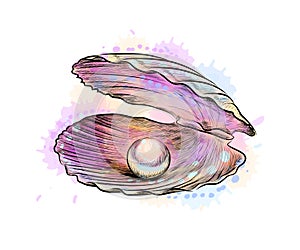 Opened shell with pearl inside from a splash of watercolor