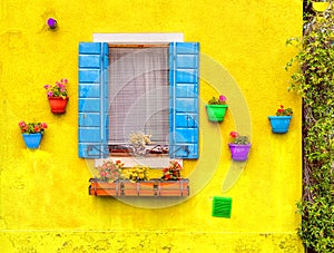 Opened window with blue shutters on a yellow wall. With red, green, orange,  blue, and purple flower pots.