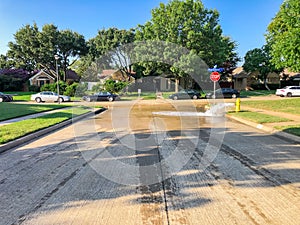 Opened yellow fire hydrant gushing water across a residential street near Dallas, Texas, USA