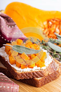 Openfaced sandwich with ricotta and squash