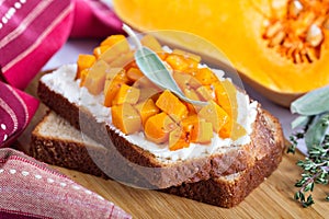 Openfaced sandwich with ricotta and squash