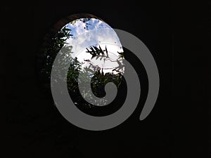 Opening in the roof that allows plants to enter. Una ventana circular en el techo por donde entran las plantas