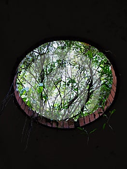 Opening in the roof that allows trees to enter. Opening in the roof that allows trees to enter