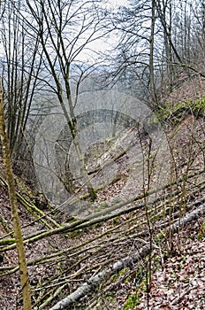 Opening views of the Karoliniskes Landscape Reserve