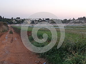 Openspace irrigation system plants