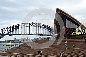 Opera House Steps