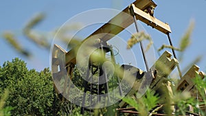 The operation of the oil pump. Raw materials are pumped from the ground. The camera moves from left to right through the grass . B