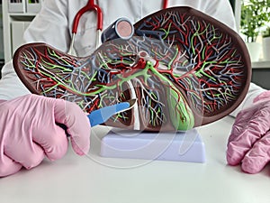 Operations on liver and gallbladder and hepatobiliary zone