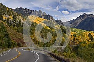 Ophir Needles in Fall