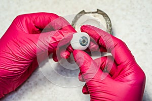 Ophthalmologist or surgeon holds an artificial eye, eyeball prosthesis in hands