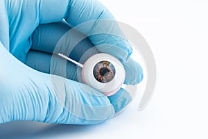 Ophthalmologist or surgeon holds in hand dressed in a blue glove eye eyeball. Concept photo for ocular prosthesis, diagnosis and