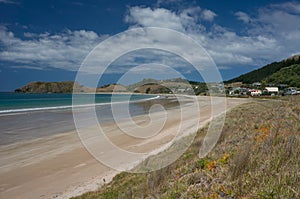 Opito Bay beach on Coromandel Peninsula, New Zealand photo