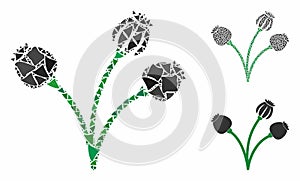 Opium poppy plant Composition Icon of Tremulant Pieces
